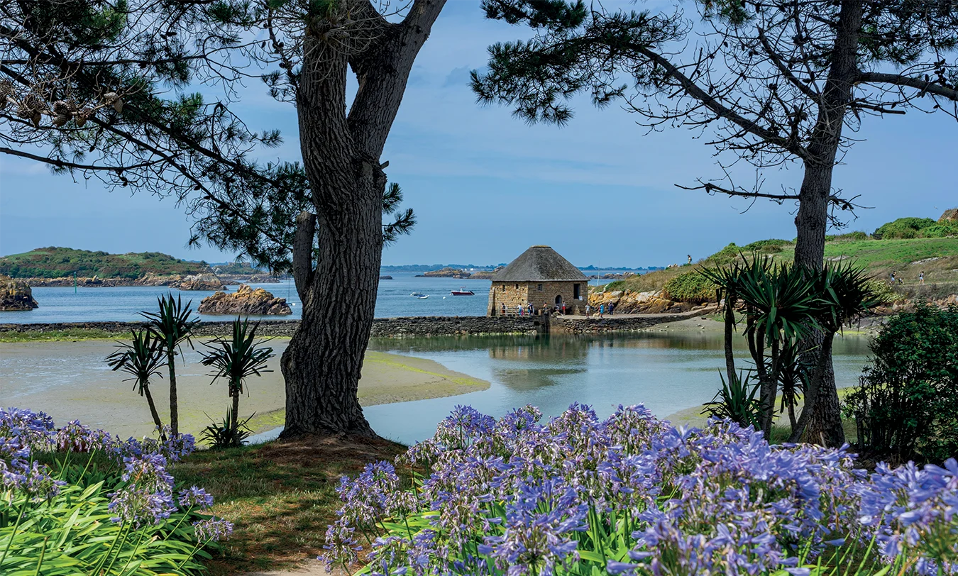 AdobeStock 642942321